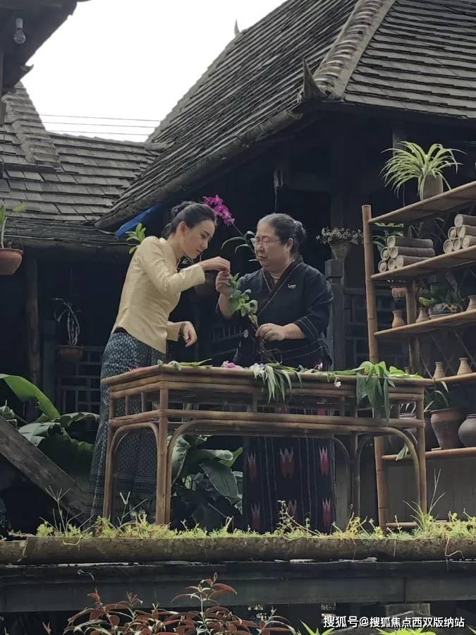曹锟贿选事件真相:无直接证据,5000元贿选费用只是欠薪发放?