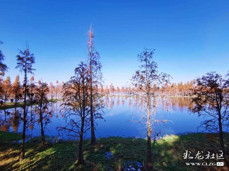 新华全媒+|“汪汪队”守护春运路
