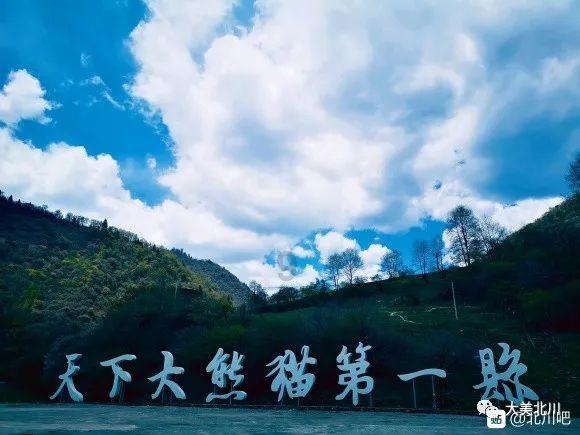 “这个群是真管用!”安徽公安绘就云端“新枫景”
