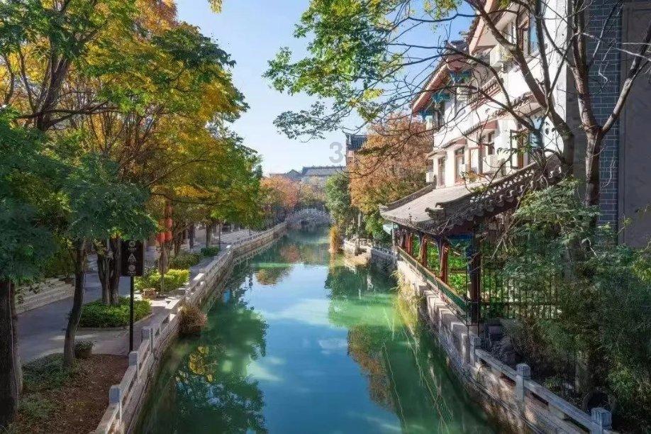 救援受困的长颈鹿