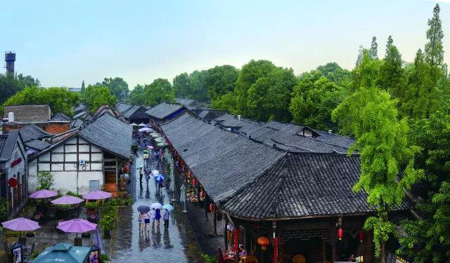 陈建斌、陈晓再度携手办案！姜还是老的辣，搭档还是师父好